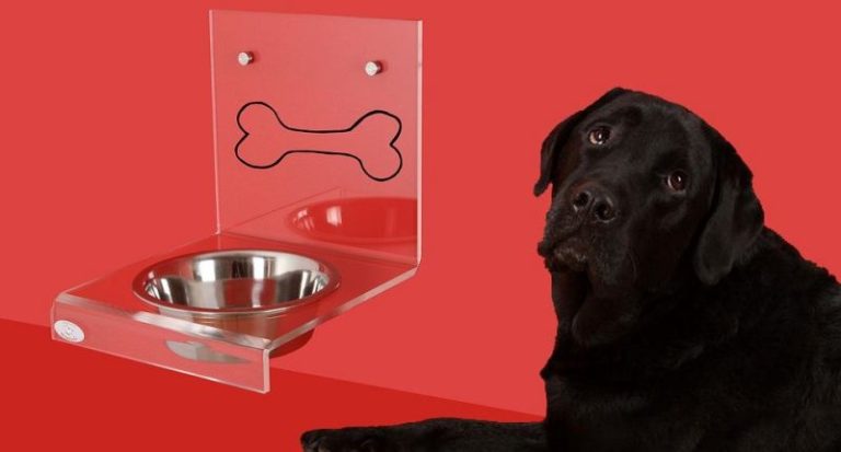 Antischlingnapf für deinen Hund tiergesundheitaktuell.de