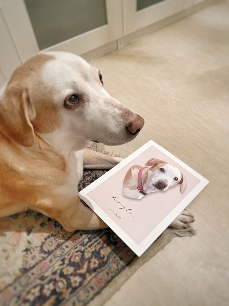 Tierportraits eine schöne Erinnerung an den verstorbenen Hund